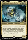 Product image for Vagabond du maelstrom