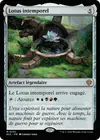 Product image for Lotus intemporel