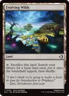 Product image for Evolving Wilds