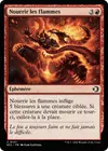 Product image for Nourrir les flammes