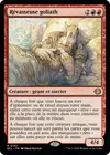Product image for Rêvasseuse goliath