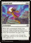 Product image for Liminal Hold
