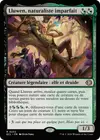 Product image for Lluwen, naturaliste imparfait