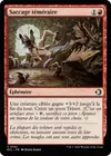 Product image for Saccage téméraire