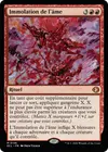 Product image for Immolation de l'âme
