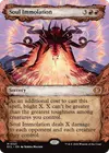 Product image for Soul Immolation