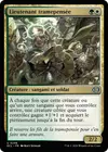 Product image for Lieutenant tramepensée
