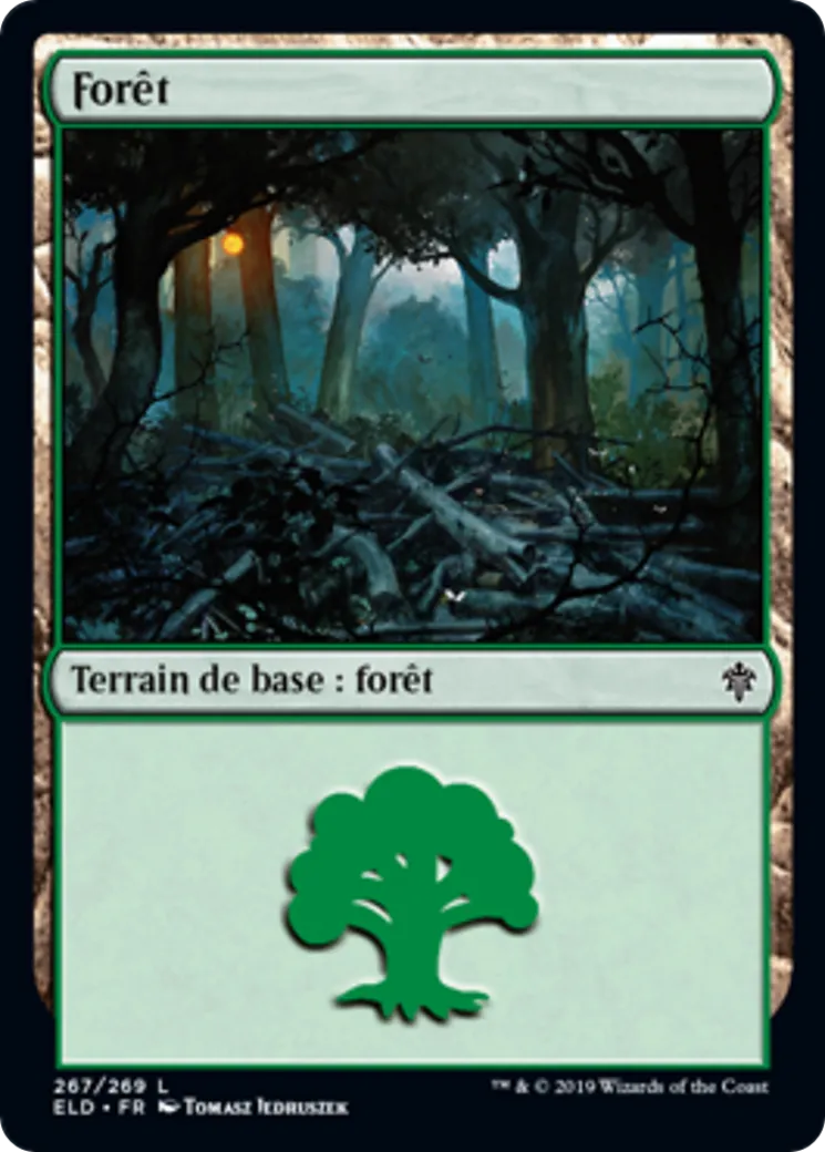 Forêt — Throne of Eldraine — Magic: The Gathering