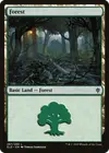 Product image for Forest