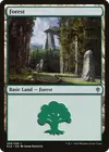Product image for Forest