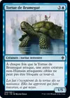 Product image for Tortue de Brumegué