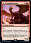Product image for Dragon opportuniste