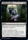 Product image for Pillage de l'âme