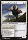 Product image for Shepherd of the Flock // Usher to Safety