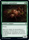 Product image for Araignée sporophore