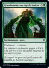 Product image for Grand comme une tige de haricot