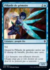 Product image for Pillarde de grimoire