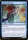 Product image for Wishful Merfolk