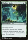 Product image for Elephant Guide