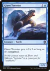 Product image for Giant Tortoise