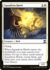 Product image for Squadron Hawk