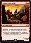Product image for Alphas rassemblés