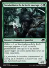 Product image for Survivalistes de la forêt sauvage