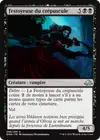 Product image for Festoyeuse du crépuscule