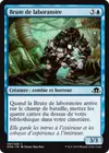 Product image for Brute de laboratoire