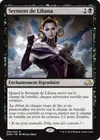 Product image for Serment de Liliana
