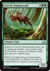 Product image for Cerf de Somberwald