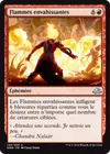 Product image for Flammes envahissantes