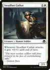 Product image for Steadfast Cathar