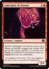 Product image for Aubergiste de Stensie