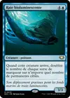 Product image for Raie bioluminescente