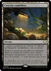 Product image for Couvoir eumidien