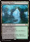 Product image for Festering Thicket