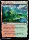 Product image for Vallée forestière