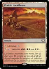 Product image for Prairie rocailleuse