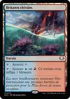 Product image for Brisants shivâns