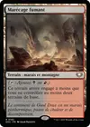 Product image for Marécage fumant