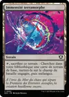 Product image for Immensité terramorphe