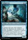 Product image for Colipervier