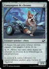 Product image for Compagnon de chrome