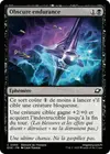 Product image for Obscure endurance