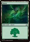 Product image for Forest