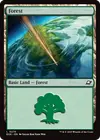 Product image for Forest