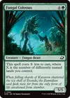 Product image for Fungal Colossus