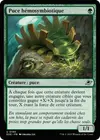 Product image for Puce hémosymbiotique