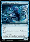 Product image for Lamebourrasque illvoï